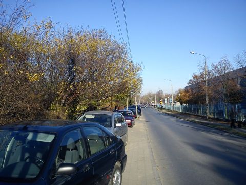 Radom. Chodnik na ul. Dębowej zastawiony samochodami
